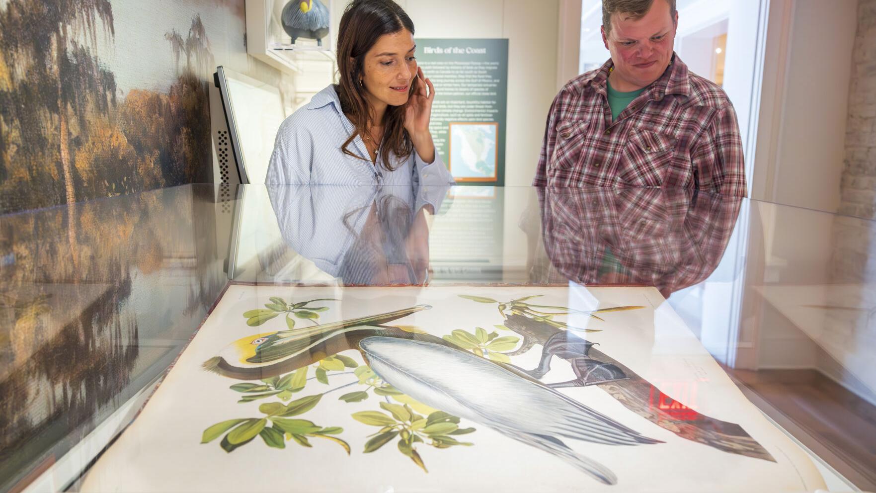 How to tell the story of Louisiana’s fading coast? This one started with some wooden ducks.
